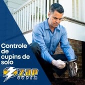 Dedetizadora Zap Controle Ambiental