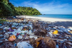 Palestras e cursos sobre Plásticos no Meio Ambiente — foto 4
