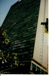 Imóvel — foto 4
