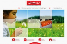 Wallace Vianna web designer freelancer autônomo — foto 4