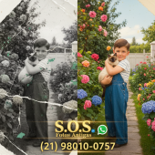 Restauração de Fotos Antigas Profissional