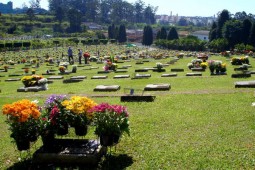 Vendo Jazigo Cemitério Do Carmo Ii