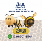 Remoção de Vespas e Marimbondos